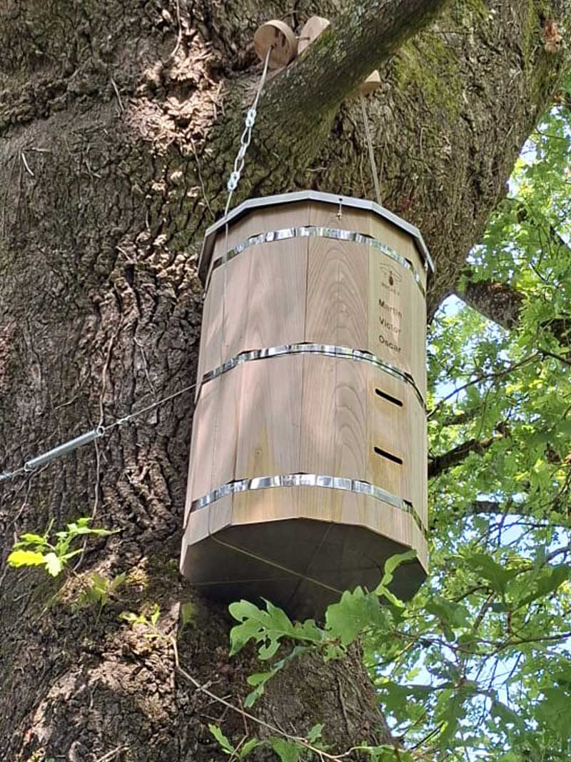 kit de fixation arbre